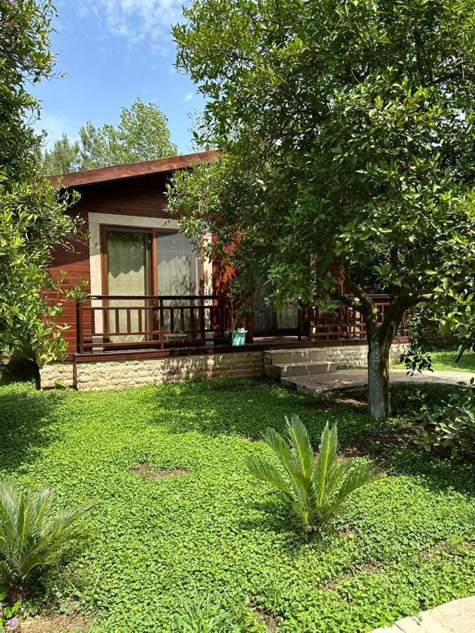 Cirali Villas 2 Esterno foto