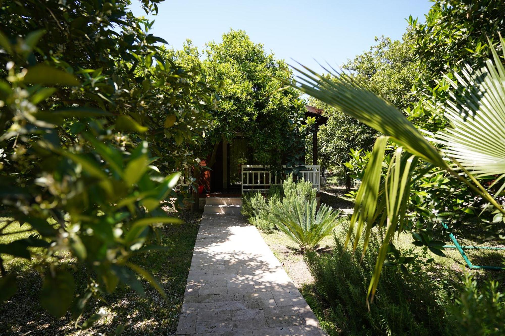 Cirali Villas 2 Esterno foto